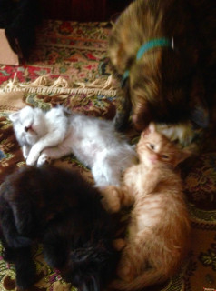 photo