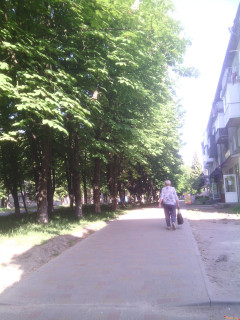 photo