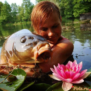 photo