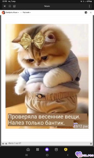 photo
