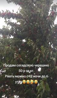 Альбом