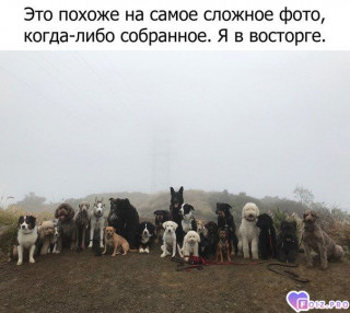 photo