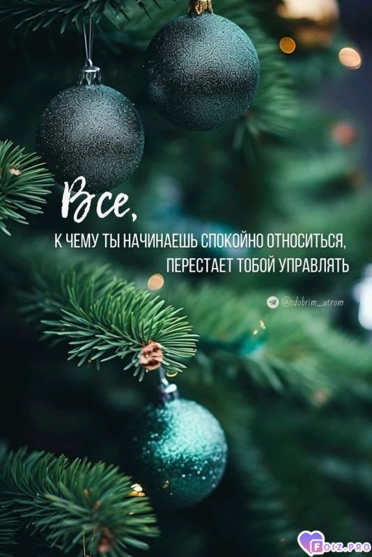 fc18797b9d73d269a041cf05ba484a67