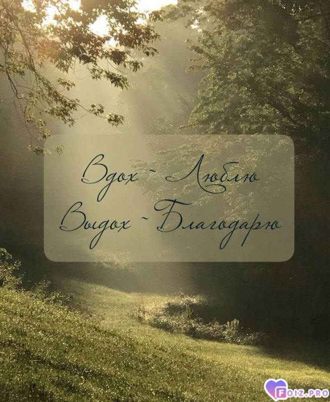 Вдох... Выдох... 