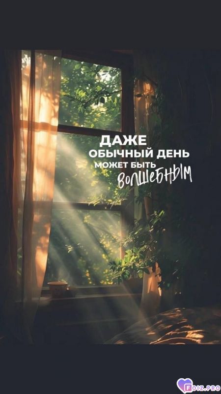 Обычный день