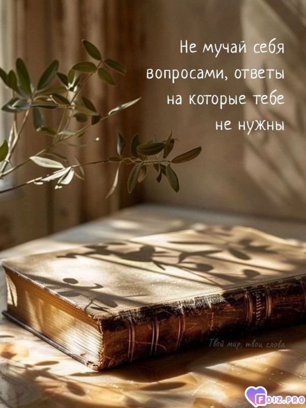 Про вопросы