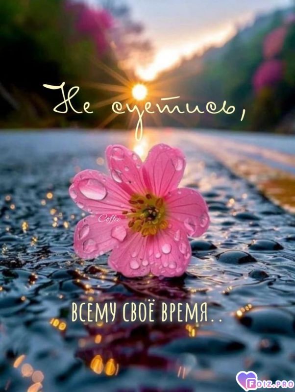 Всему своё время