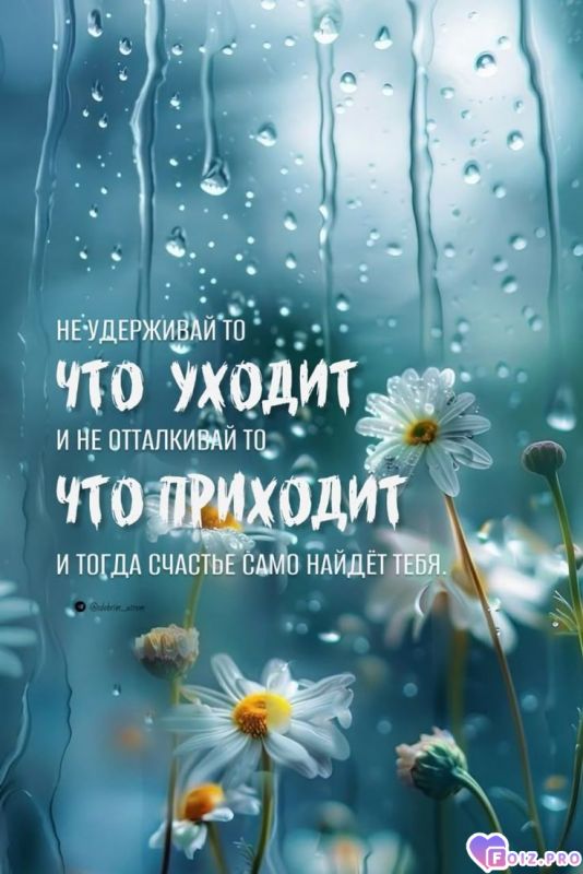 Счастье найдёт тебя... 