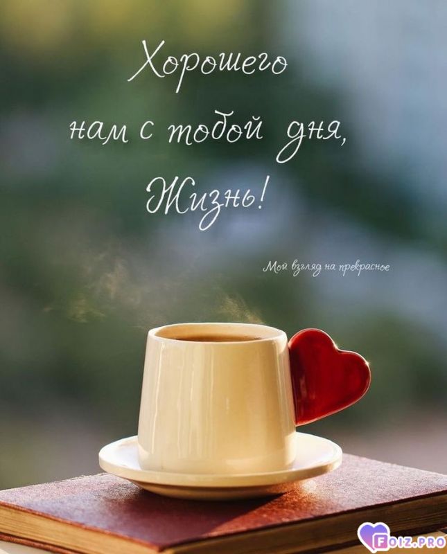 Хорошего дня... 