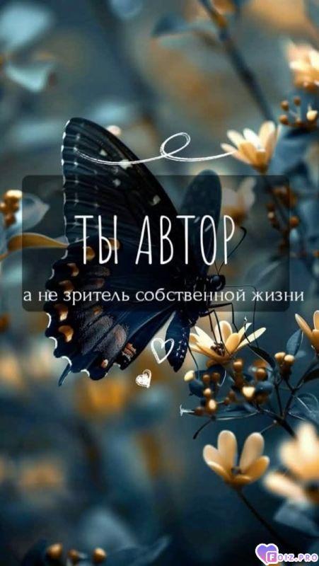 Ты автор
