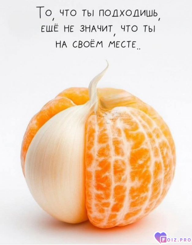 8b4447ce3561c9148ff3404a391a7781