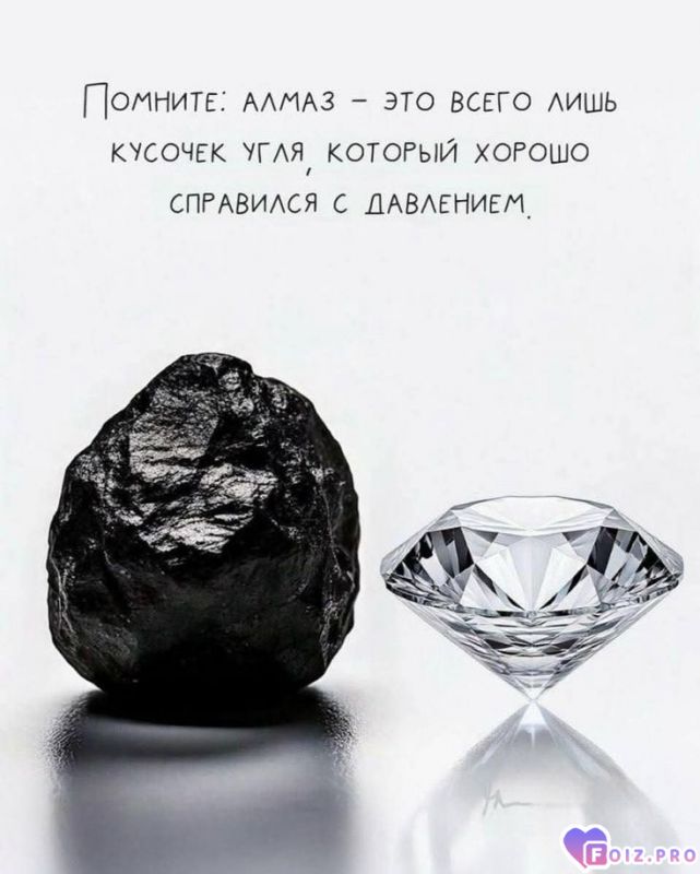 fd1d2361ea36519cbf79f742cb97fc2b