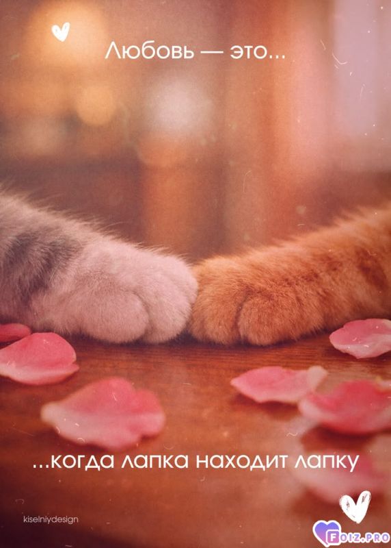 a2d73ece2f3184f97e1fd5b070007aa7