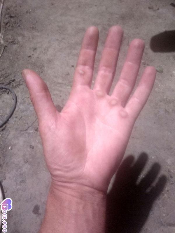 Хошь такие, Катюх?)