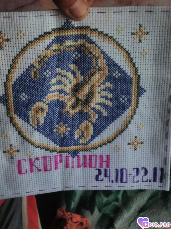 сделал скорпиона