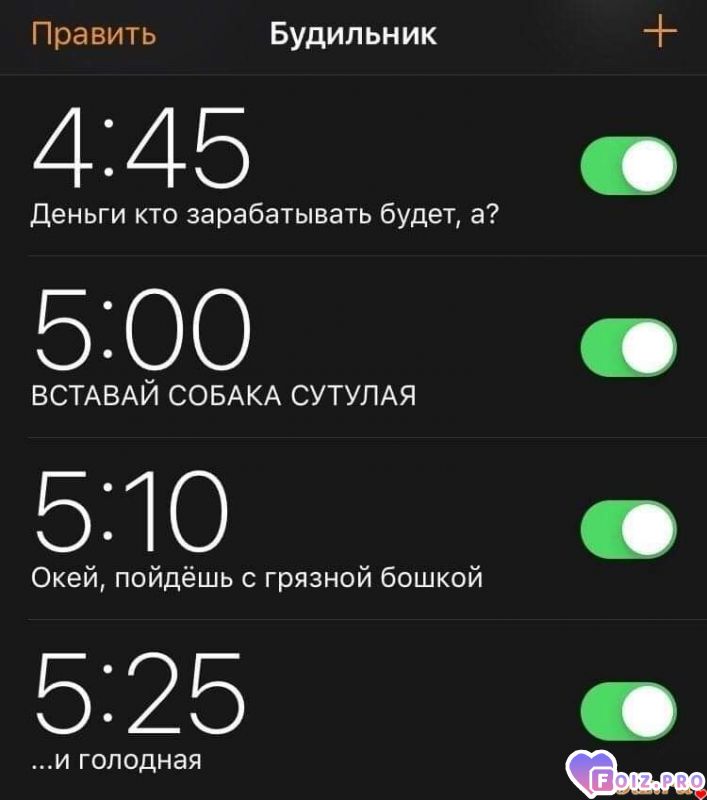 FB_IMG_1634936024878