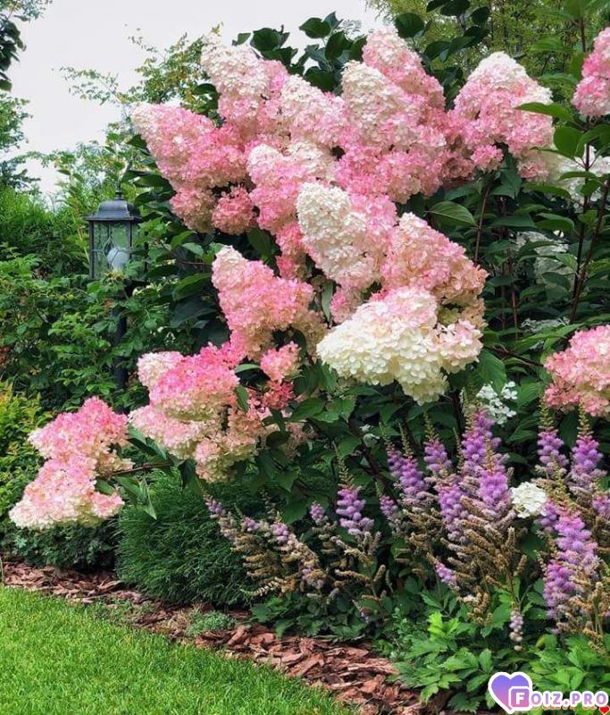 FB_IMG_1537612396453