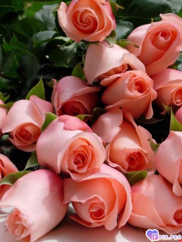 FB_IMG_1566071087511