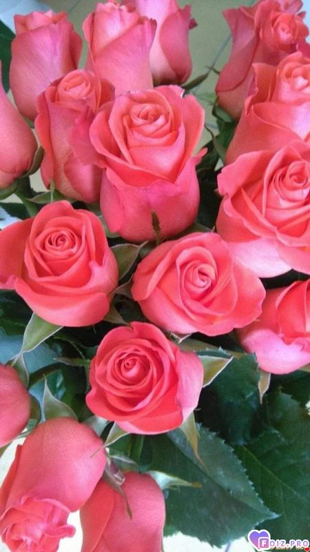 FB_IMG_1565082244281