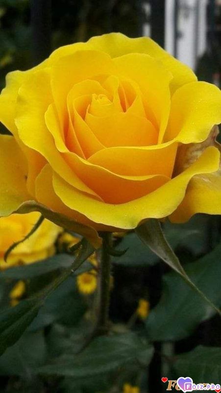 FB_IMG_1571154608597