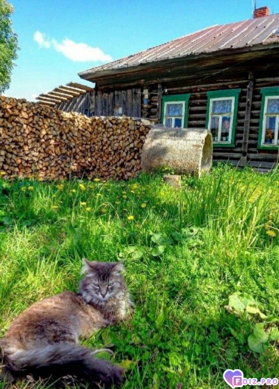 Хорошо летом в деревне.