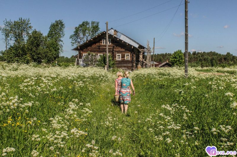 Они прекрасны.