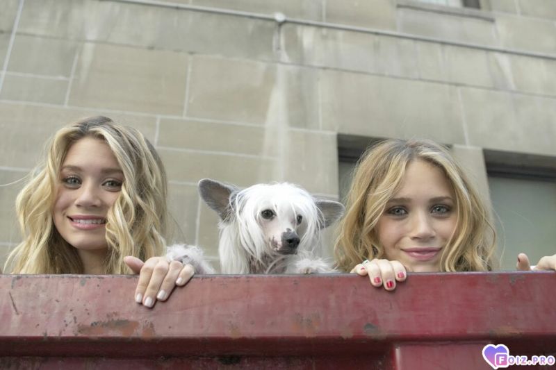 Сестры Олсен