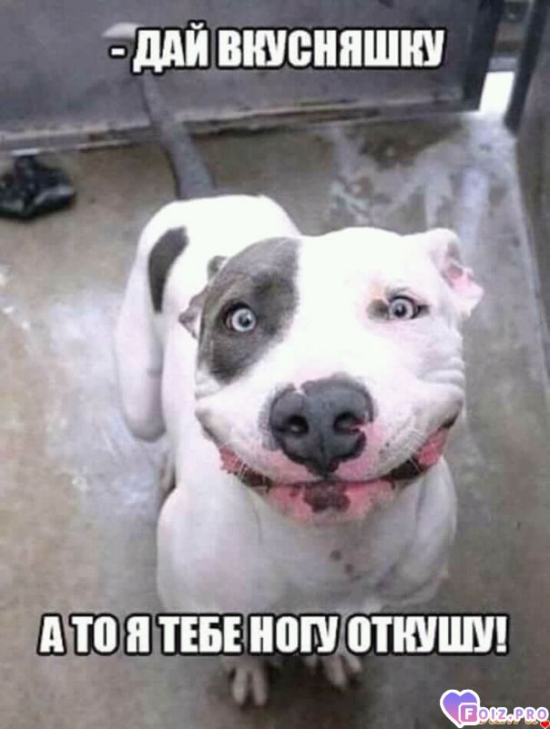 FB_IMG_15230918356442373