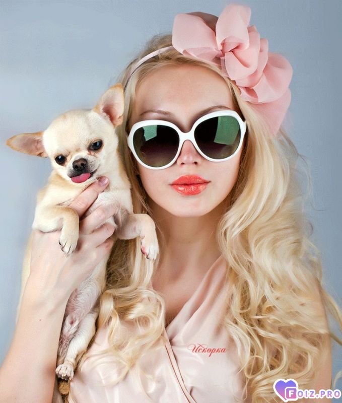 _s_sobachkoi_yapfiles.ru