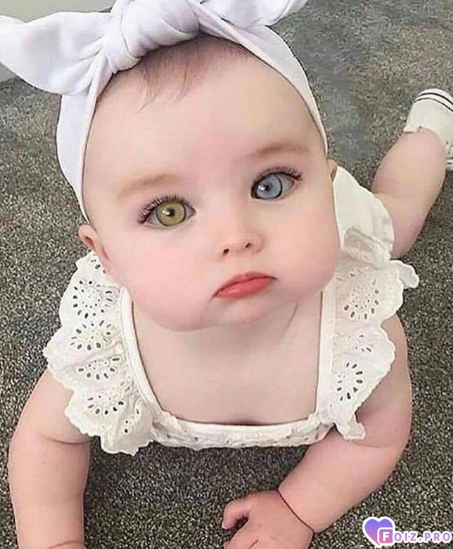 2183eba2424bfa46590051856ba0d6cc