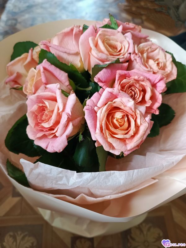 Polish_20250726_202447833