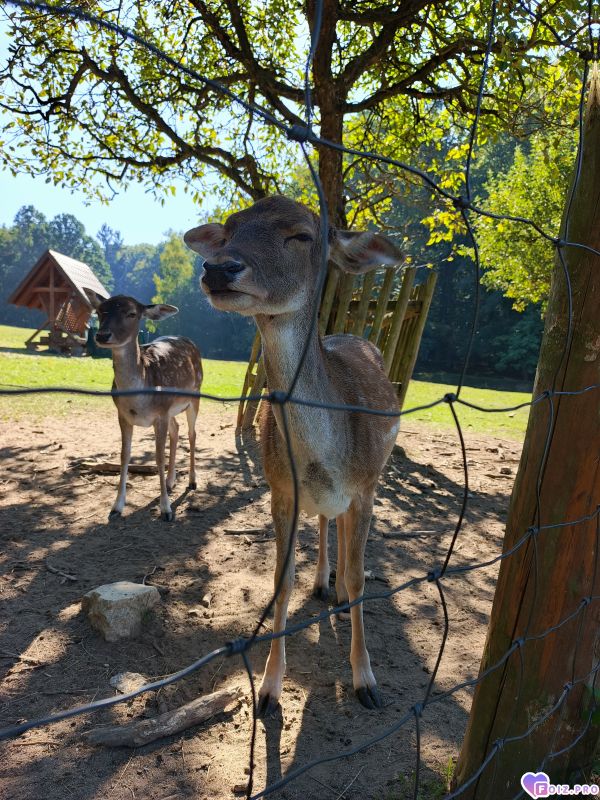 IMG_20260928_122845_024