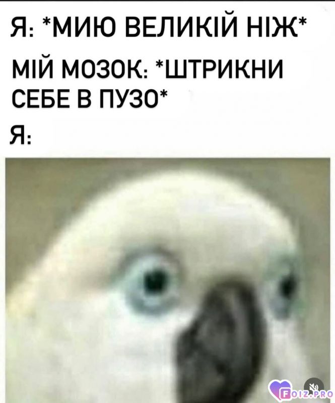 Вивихи розуму)