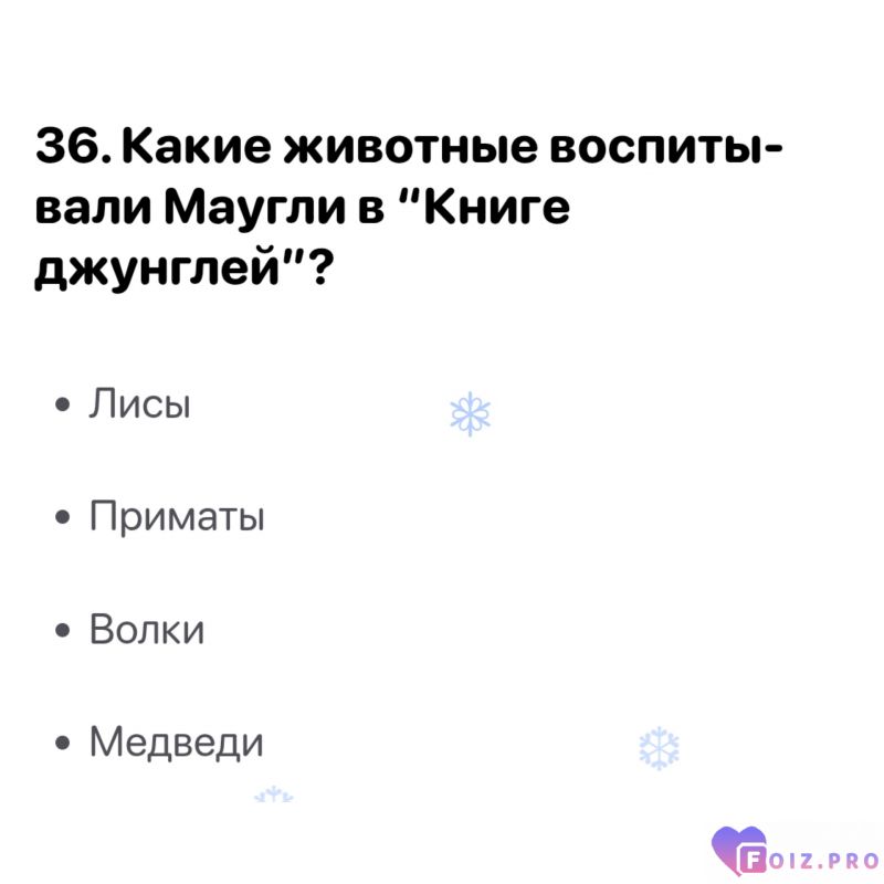 Папка 6