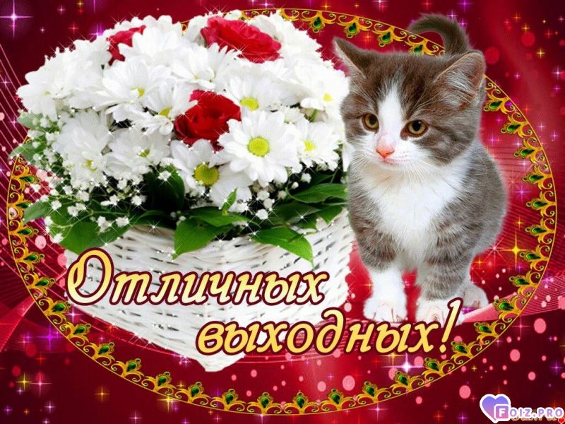 IMG_20181027_063210_455