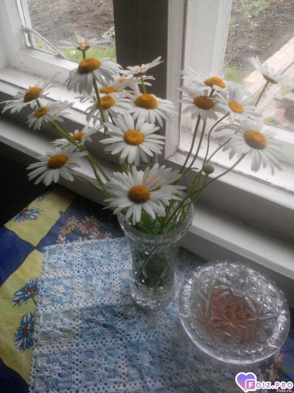 IMG_20180703_133556_1