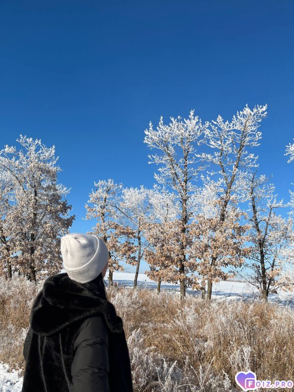 IMG_20251201_204908_070