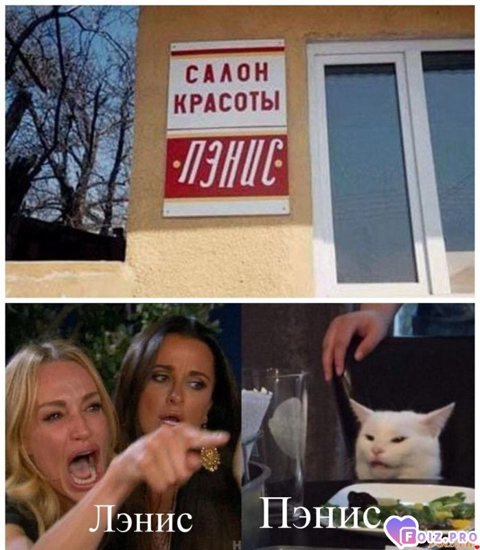 МемоЛента 5 | Лэнис