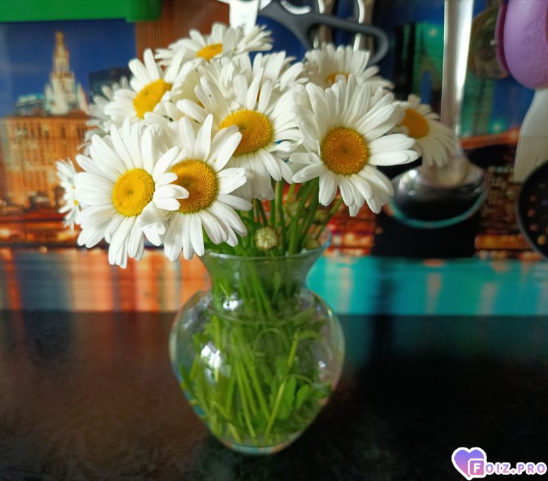 FOTO_20260610_224034