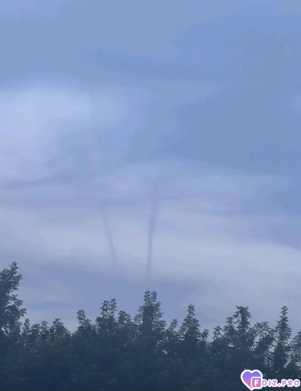 Тор