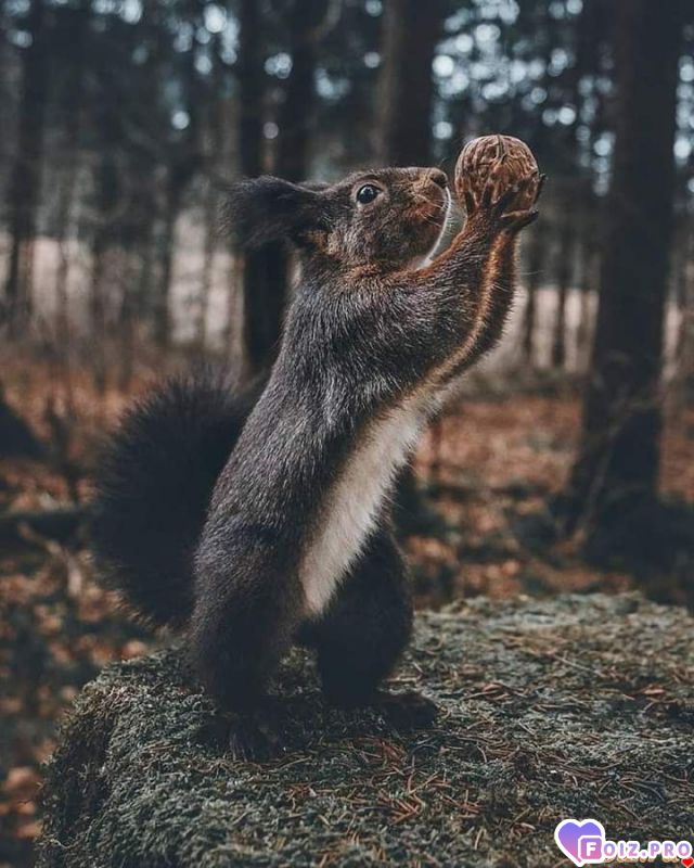 FB_IMG_1539628483727