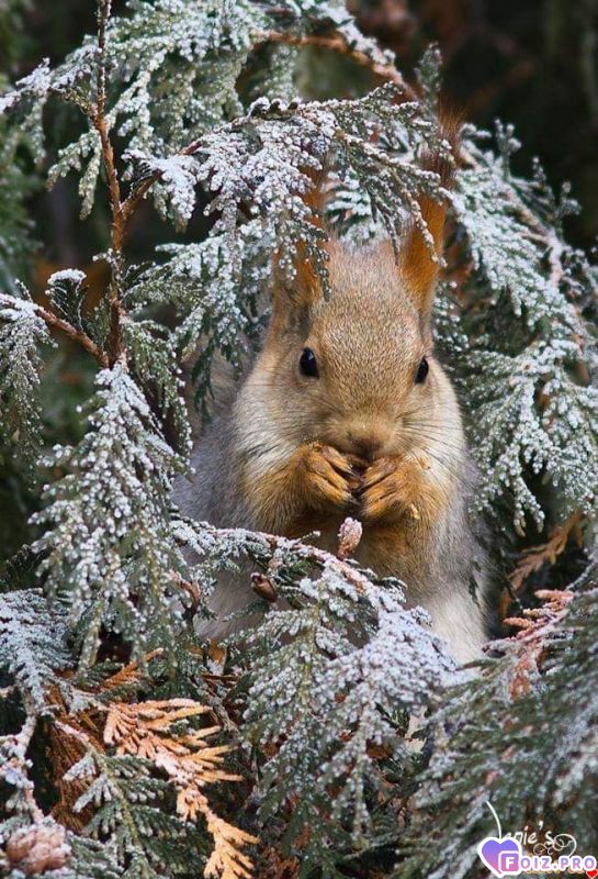 FB_IMG_1545254670725