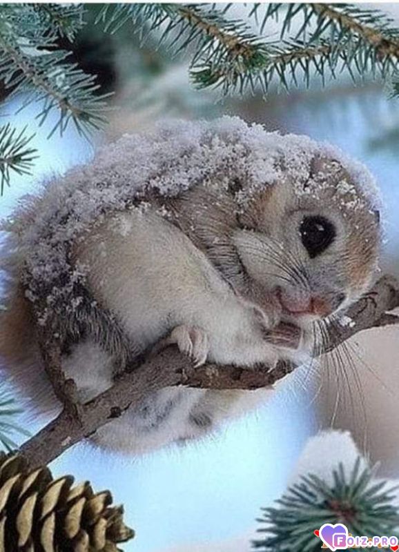 FB_IMG_1545124578911