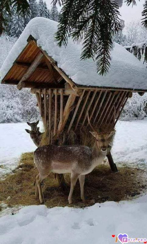 FB_IMG_1551019305989