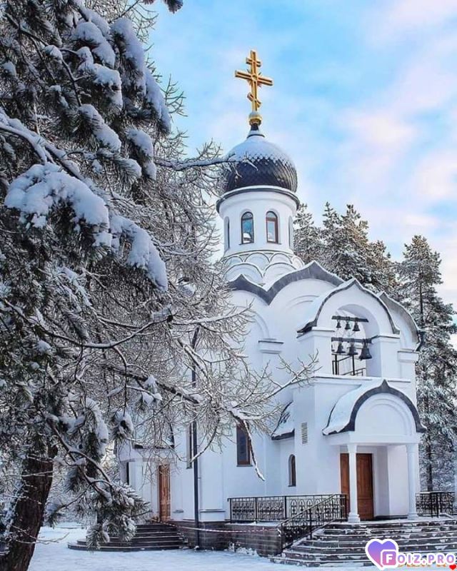 FB_IMG_1546254150718