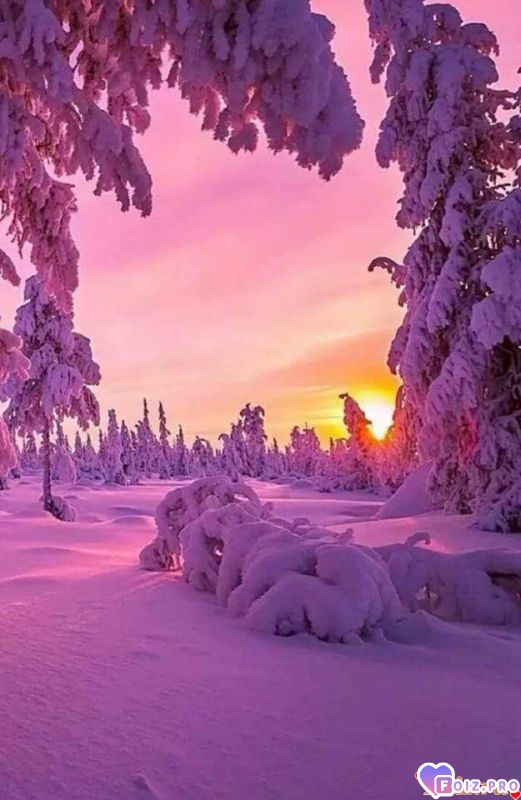 FB_IMG_1545123209019