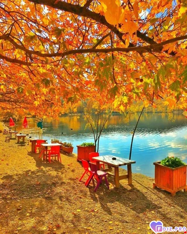 FB_IMG_1543173074777