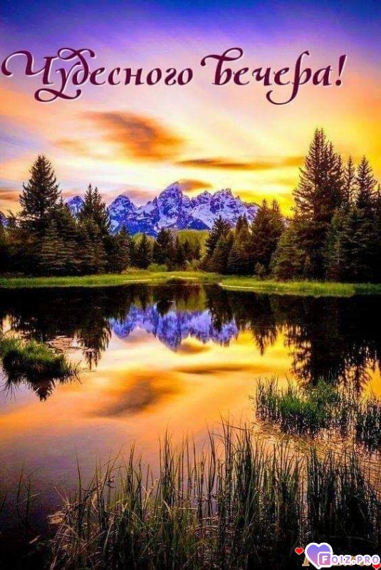 FB_IMG_1542830564835