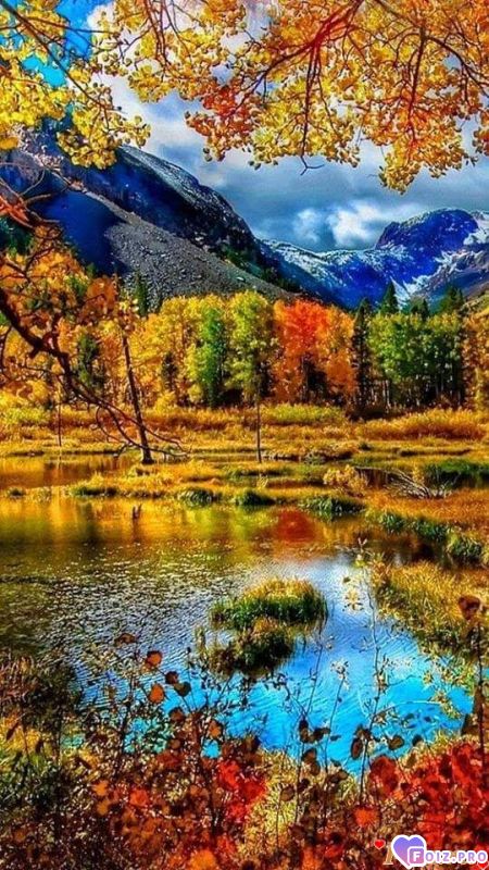 FB_IMG_1542797614094