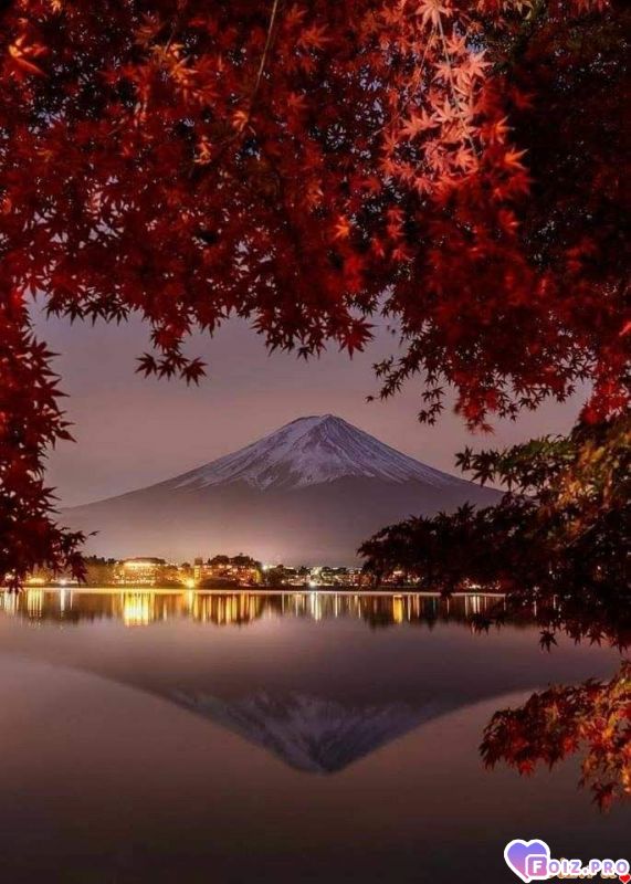 FB_IMG_1541837425218